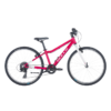 <b>Bulls</b><br> Tokee Lite 24 – Bild 3
