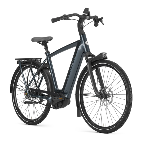 Gazelle Arroyo C5 Elite – Bild 6